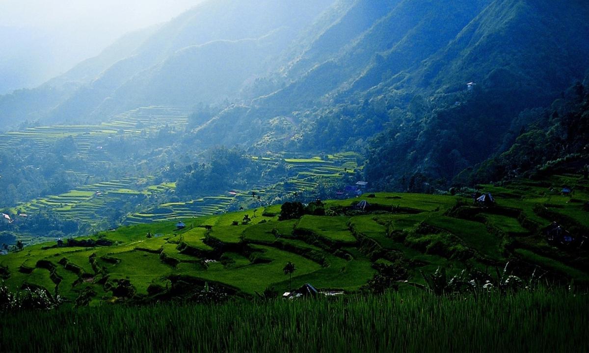 Apatan Rice Terraces